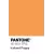 Orange PANTONE 1151U  +HK$480.00