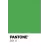 Green PANTONE 361U  +HK$480.00