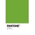 Green PANTONE 376U  +HK$480.00