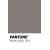Gray PANTONE Warm Gray 10U  +HK$480.00